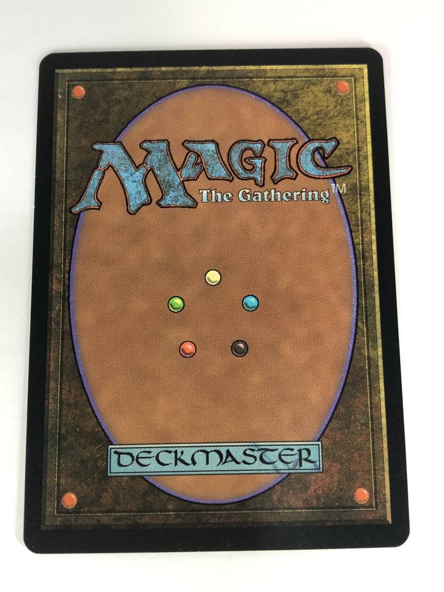 呪われた巻物(Central Artery) 日本語版×2枚 英語版2枚の計4枚 呪われ