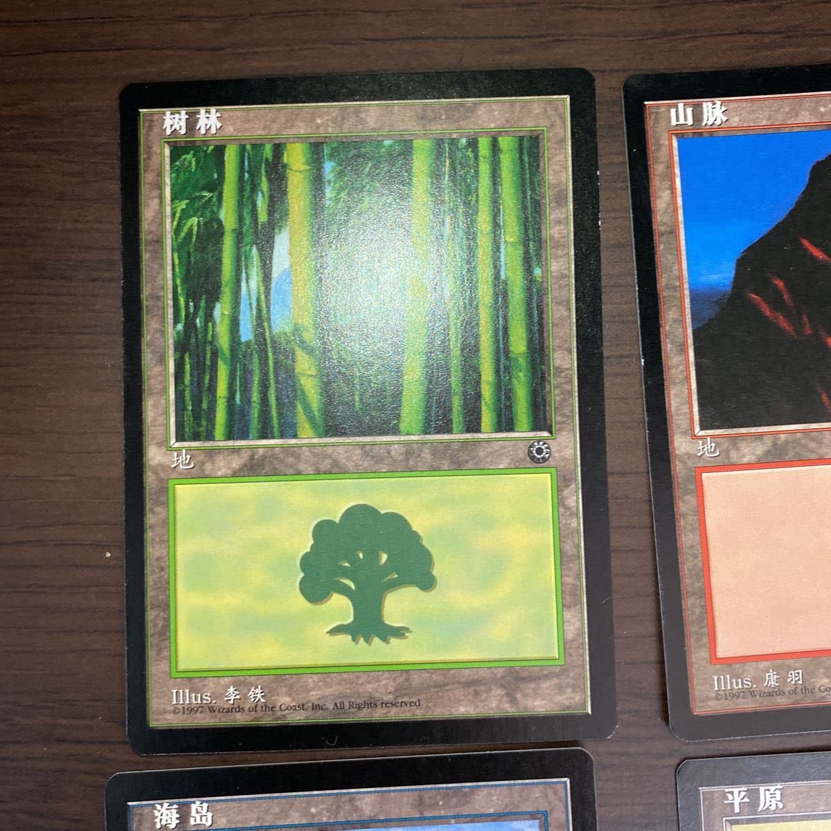 MTG 海の歌姫 中国語 簡体字Ⅴ5版 2枚セット MTG 海の歌姫 中国語