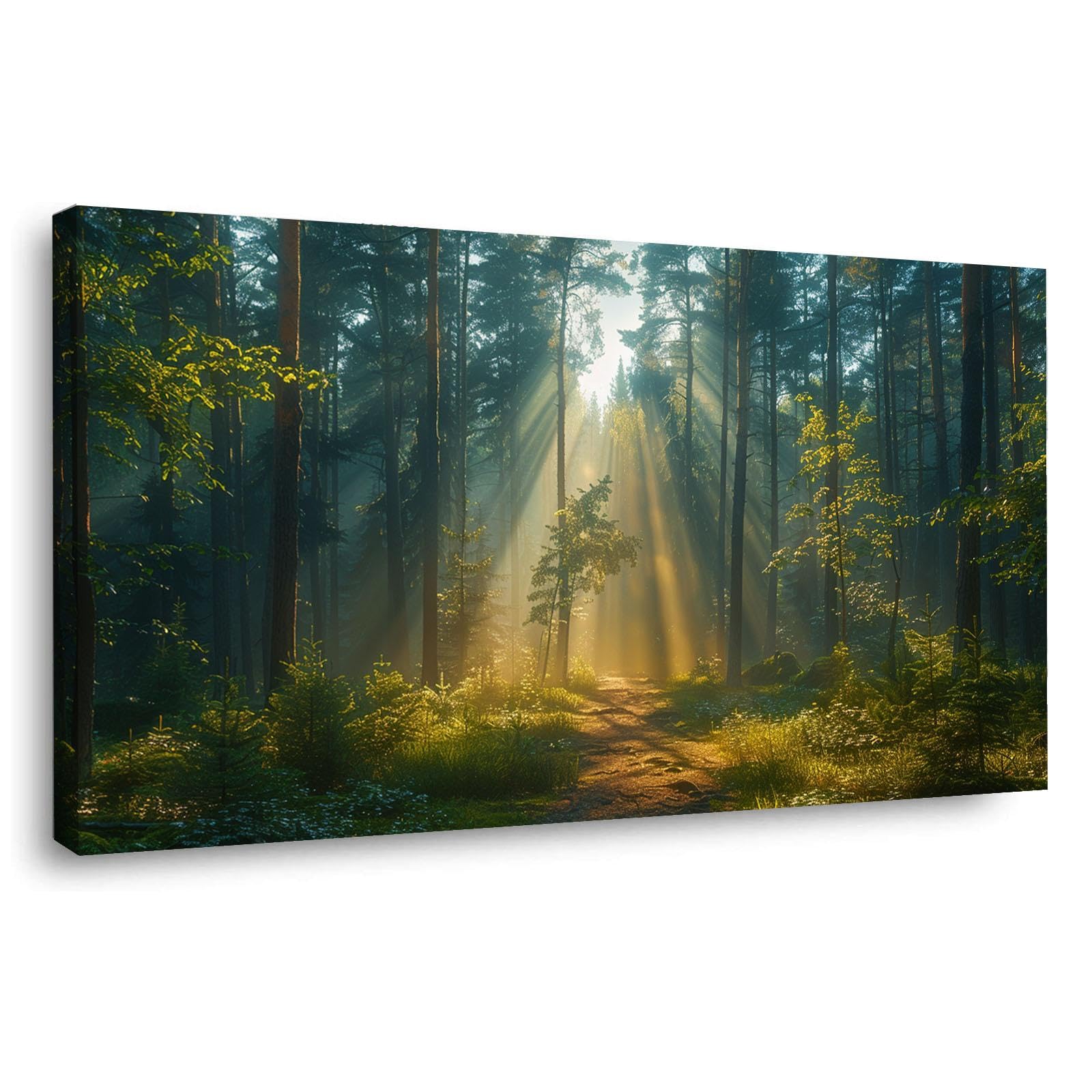 Amazon.co.jp: JOSUE 森の風景 アートパネル 自然林 アートパネル