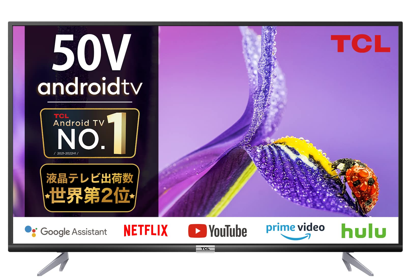 50インチ TCL テレビ 2023年製50BP61 【公式通販】