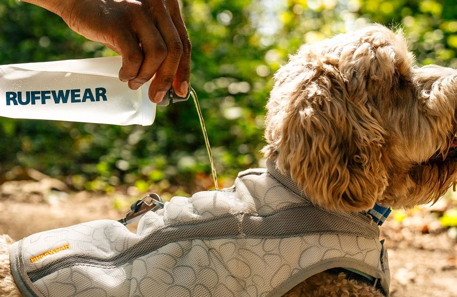 RUFFWEAR スワンプクーラードッグハーネス セージグリーン Amazon