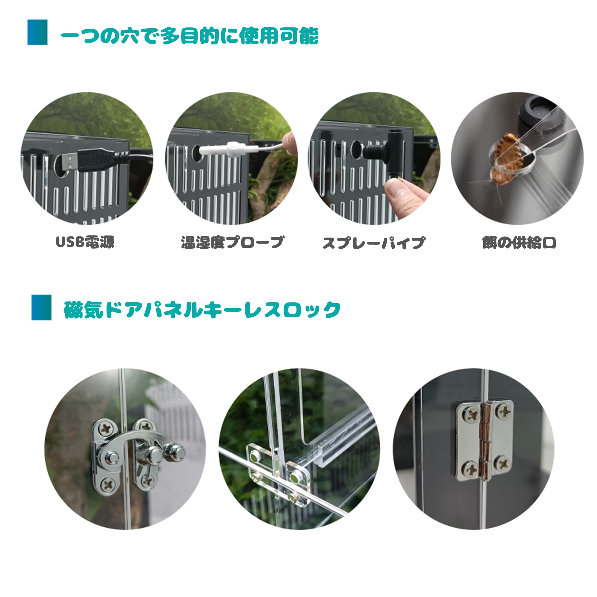 爬虫類ゲージ※写真はオプション(別売り)2階&ガラス使用になります。