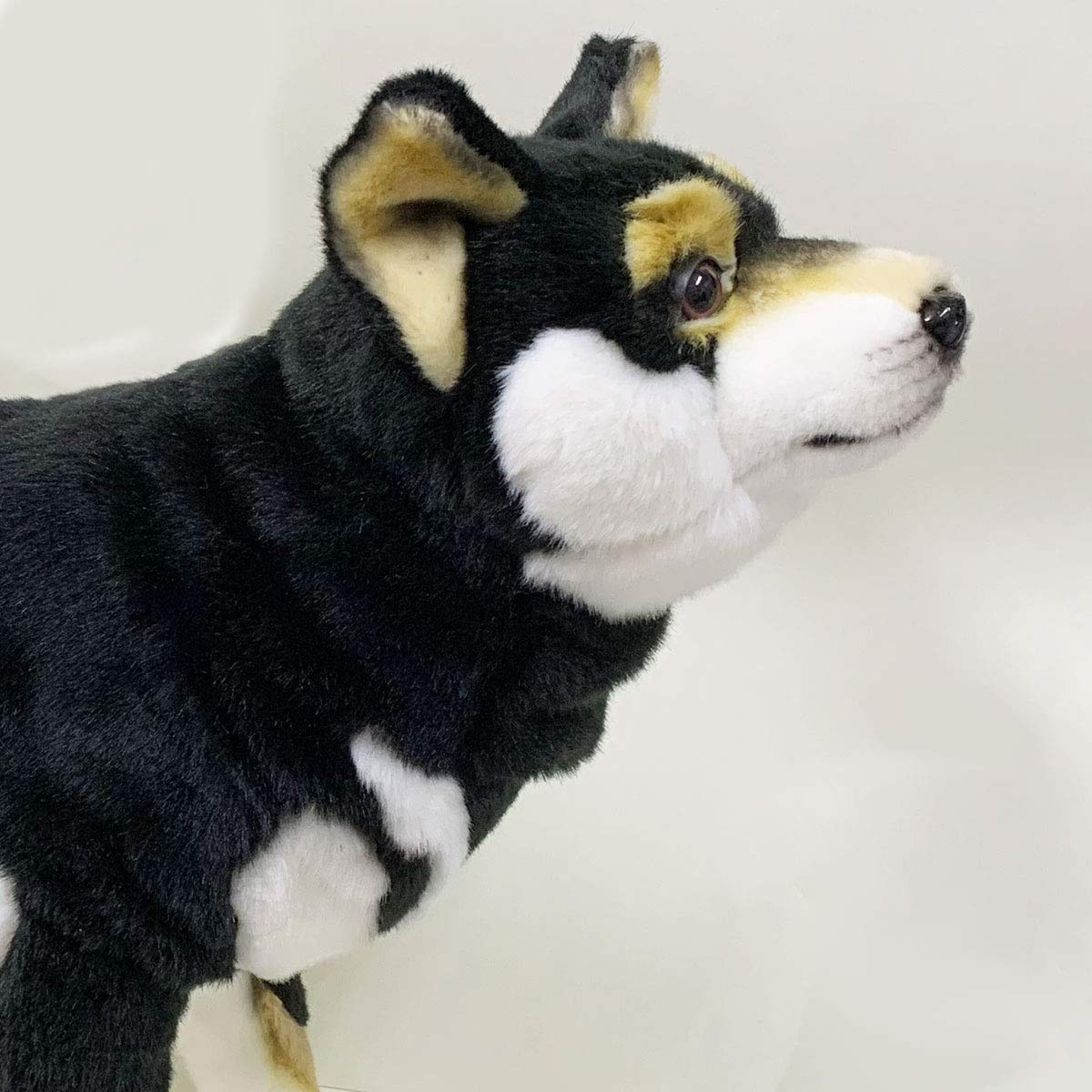 Amazon.co.jp: HANSA ハンサ ぬいぐるみ 7242 黒柴 50 SHIBA DOG BLACK