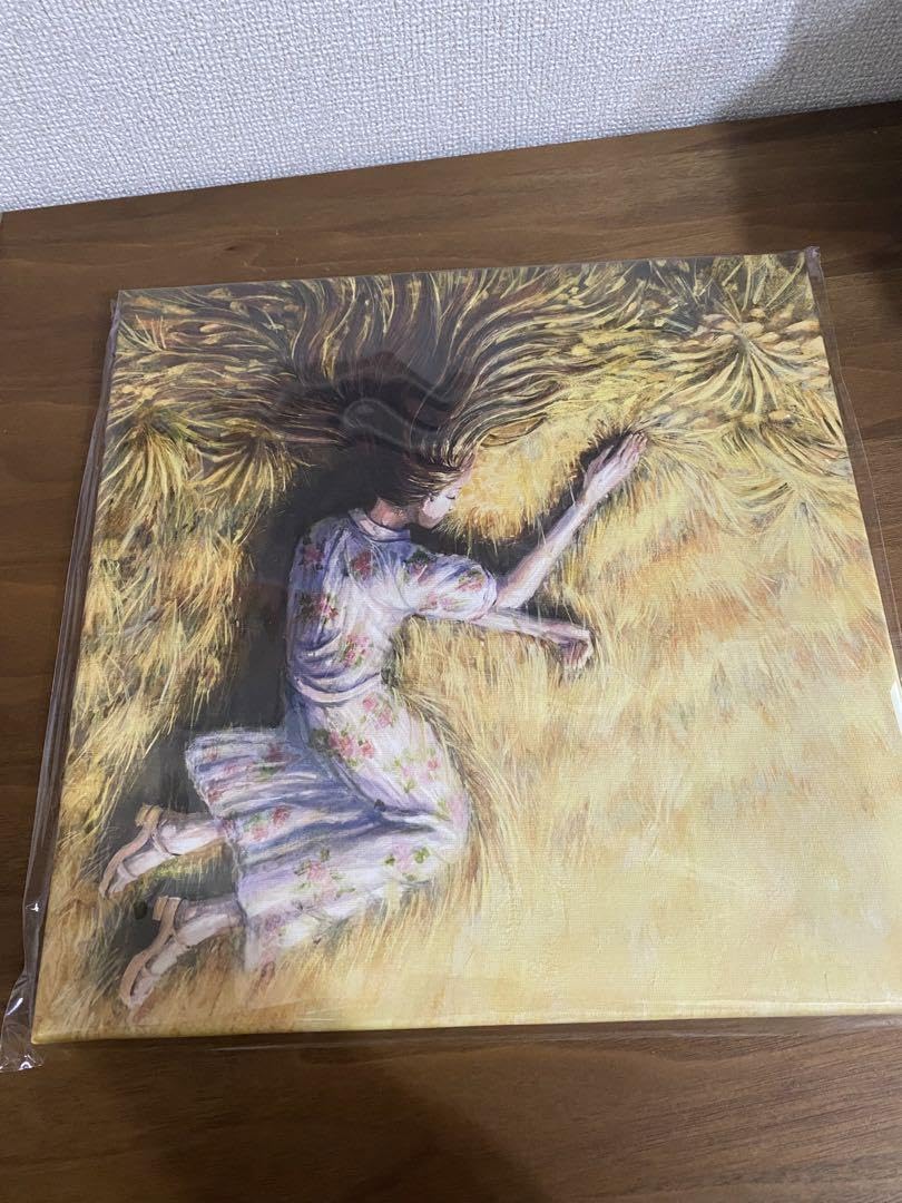 ヨルシカ キャンパスフレーム チノカテ キャンバスフレーム全5種を完全