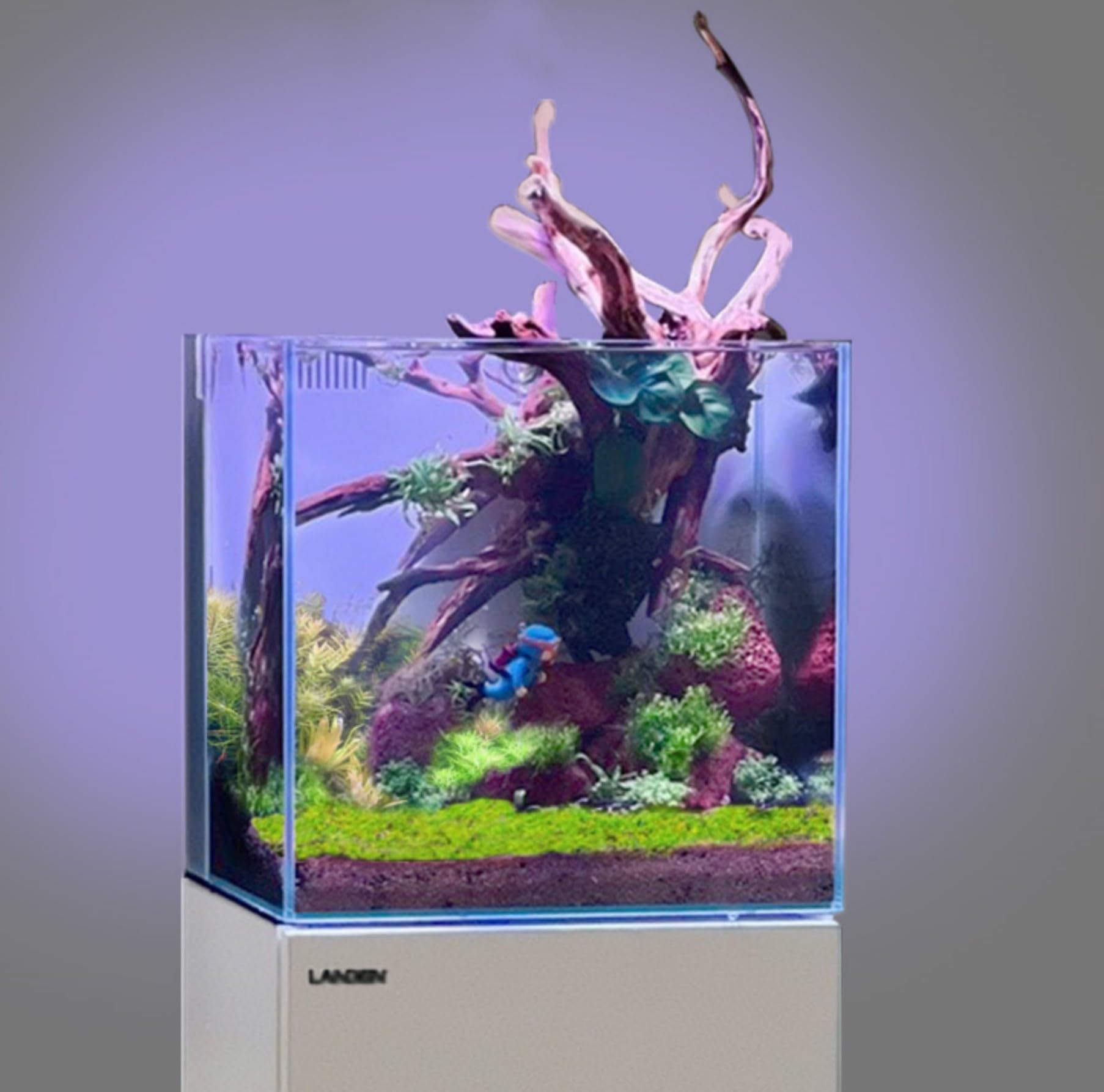 ホーンウッド アクアリウム 爬虫類 登り木 流木 w22×d12×h27