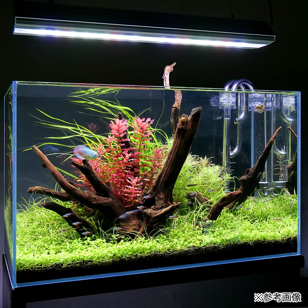 まっきー様専用】アクロ TRIANGLE GROW 600 逆さ毛鉤さん購入用です アクロ