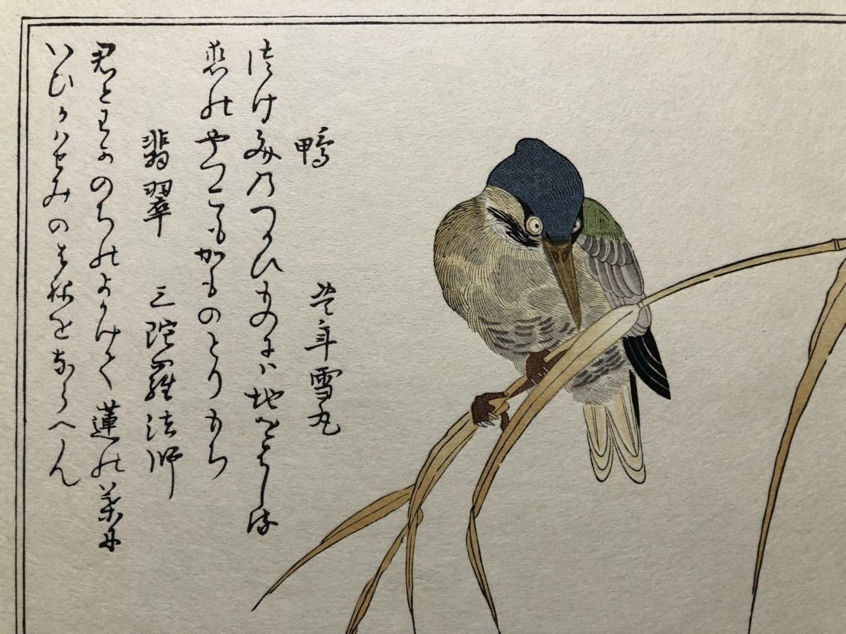 71*Z308)*絵画 日本画掛軸 たかあき 版画 彫刻 絵本 木版画 71*Z308