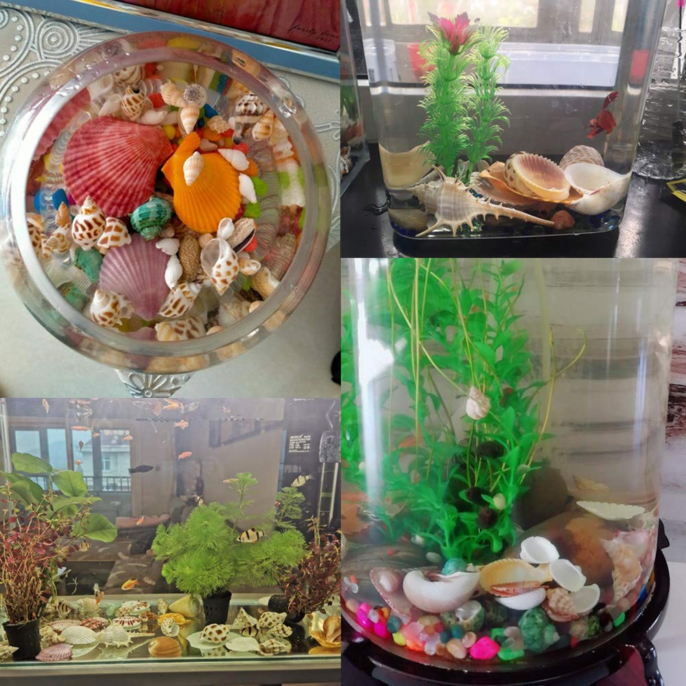 新品・未使用】ハンドメイド海外製 カラフルな魚と貝殻の皿 新品・未使用】