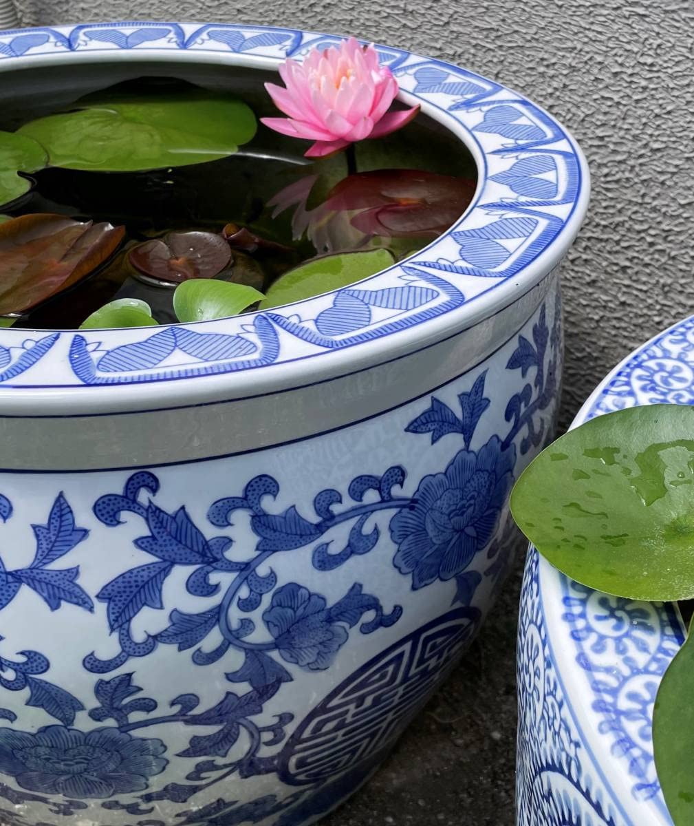 睡蓮鉢大型水鉢火鉢メダカ鉢美術アンティークシノワズリ金