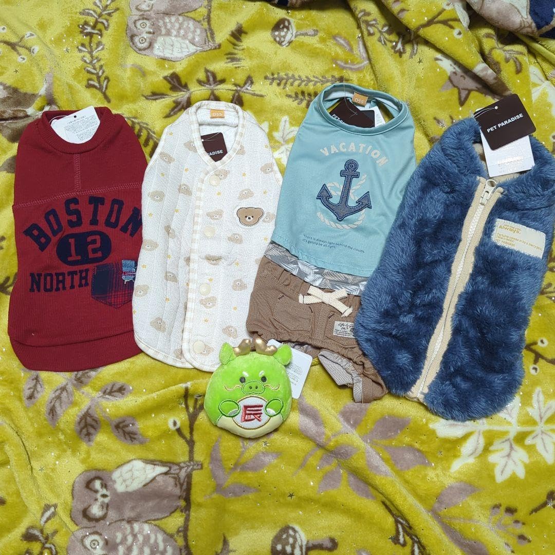 Amazon.co.jp: ペットパラダイス DSS 4枚セット 2024年福袋男の子 福袋