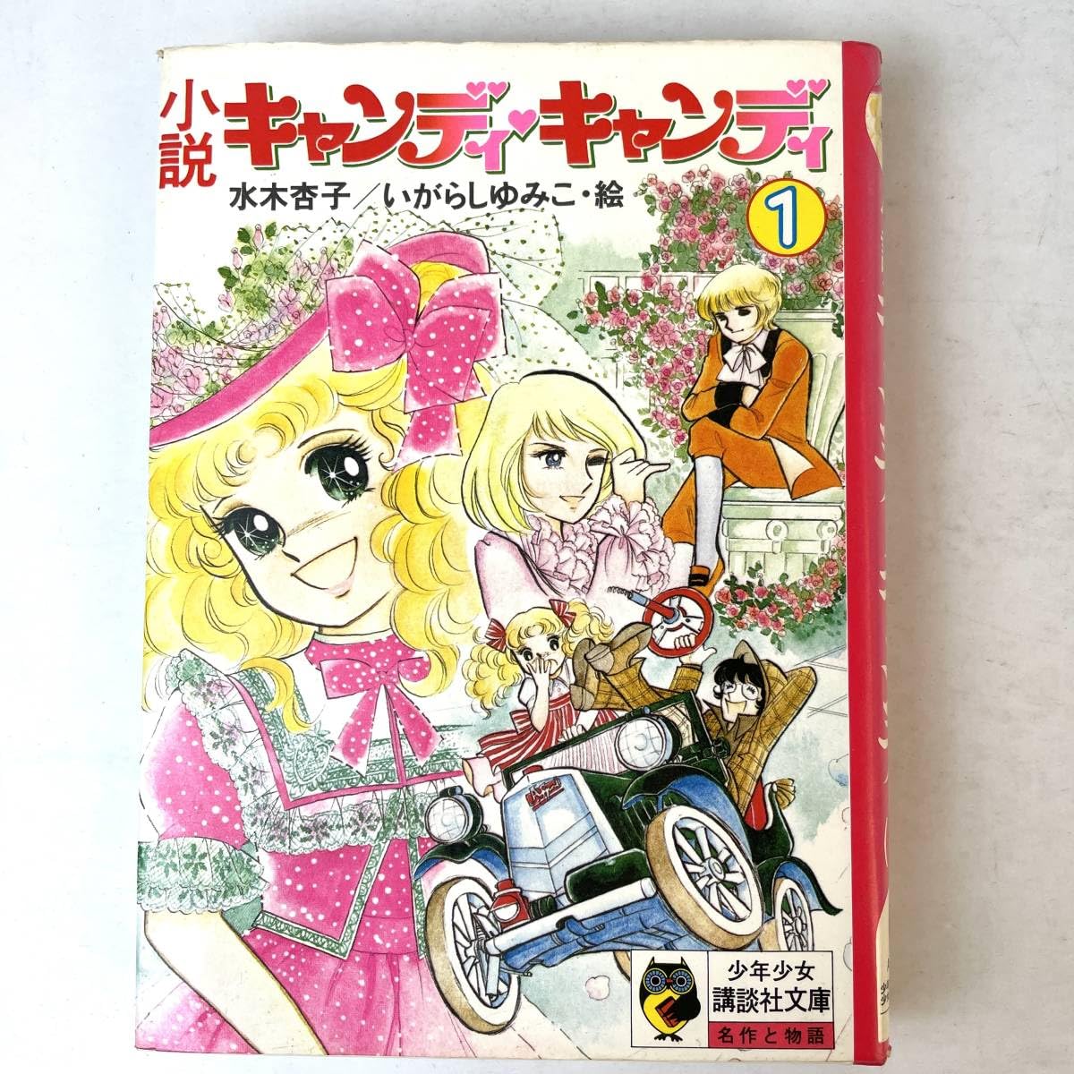 キャンディ♡キャンディ 文庫版 全巻セット いがらしゆみこ キャンディ