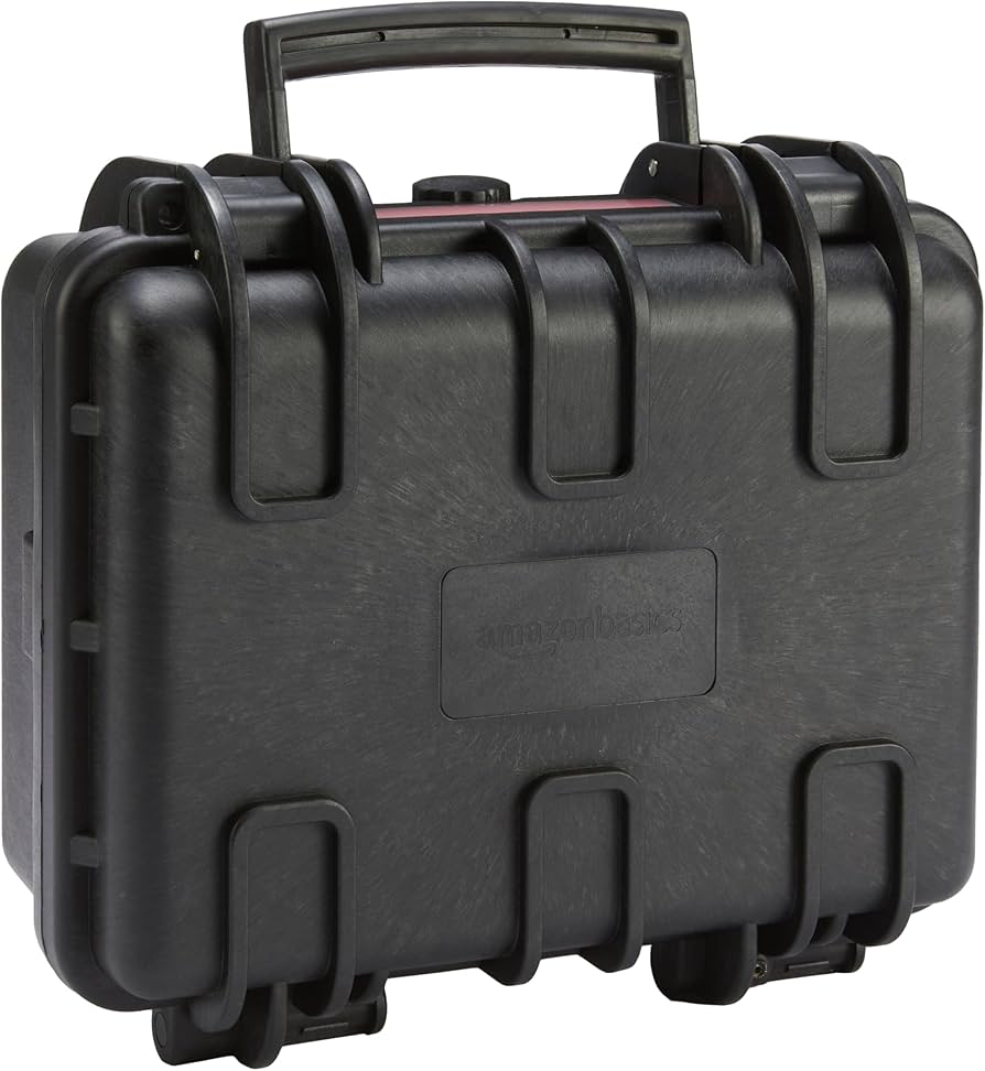 Amazon.com : Amazon Basics Hard Camera Case, Small, Black, Solid