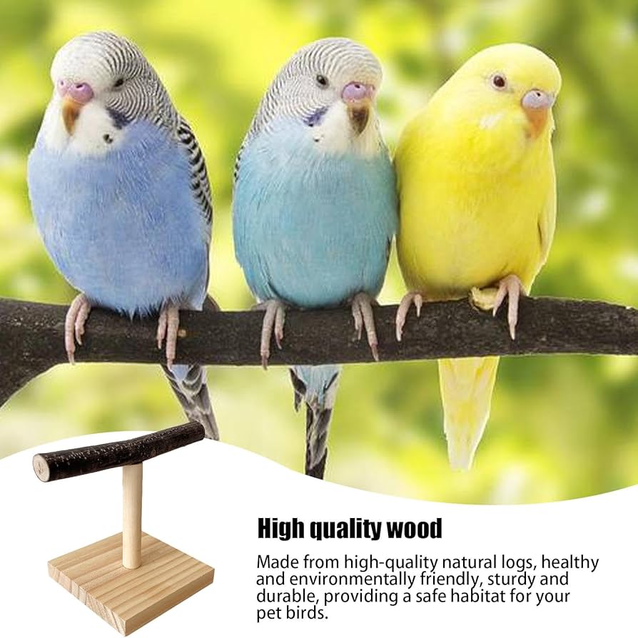 セール バードスタンド 止まり木 高さ調整機能付 インコ オウム ヨウム