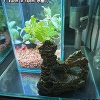Amazon | AquaLoach アクアローチ アクアリウム オブジェ 水槽 隠れ家