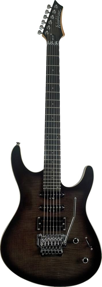 washburn RX25 fwsb