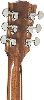 Amazon | Gibson Les Paul Standard 60s Figured Top Translucent
