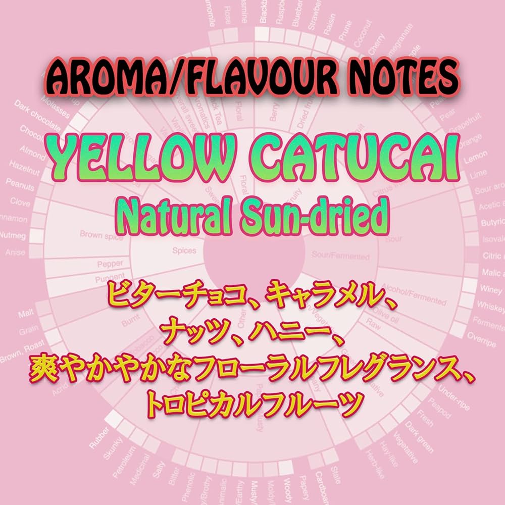 コーヒー生豆】【未開封】ブラジル カッシャンブー イエローカトゥアイ