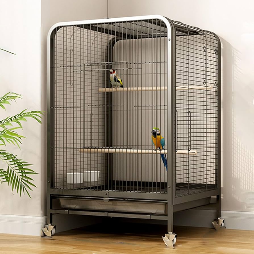 Amazon.co.jp: 鳥籠 - 鳥かご インコ インコ ケージ 複数飼い セキセイ