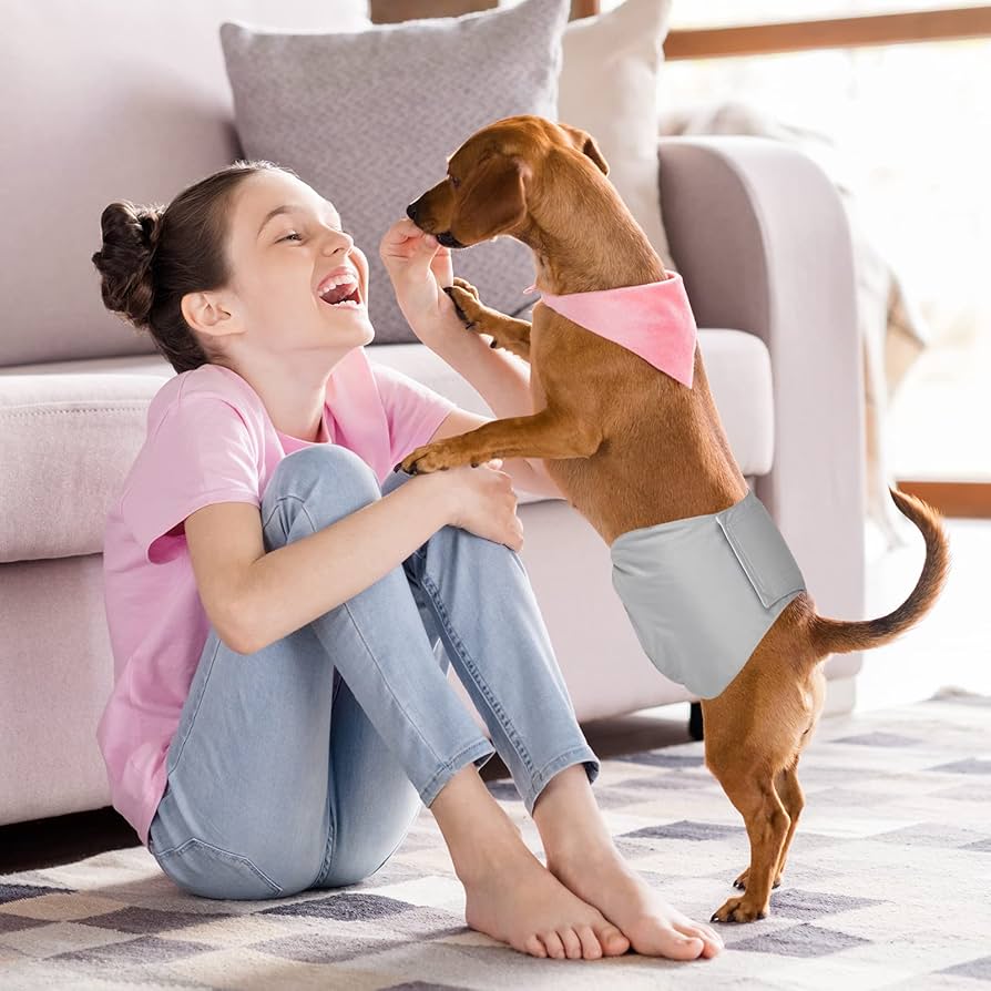 ペット✩犬✩マナーベルトオーダー用 サンプル(確認用)パピヨン ピンク