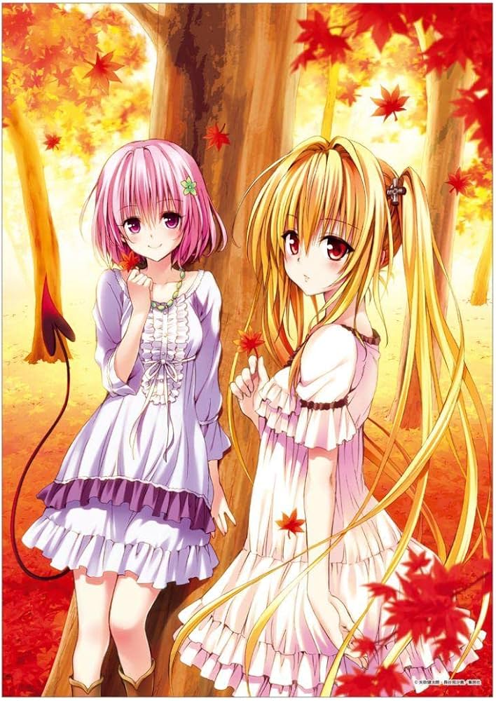 ToLOVEる展 キャンバスアート 春菜・ララ・モモ・ヤミ・美柑 Amazon.co