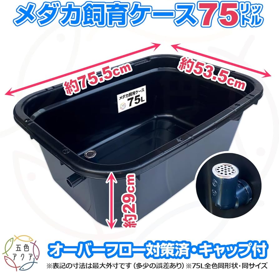 Amazon | 五色アクア メダカ飼育容器 75リットル 黒 オーバーフロー