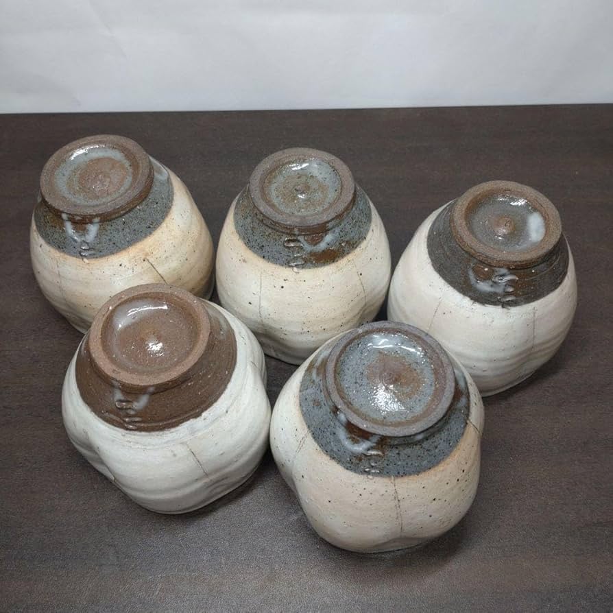 中里隆 唐津粉引ふちなぶり皿 5客組 ×2（10枚）