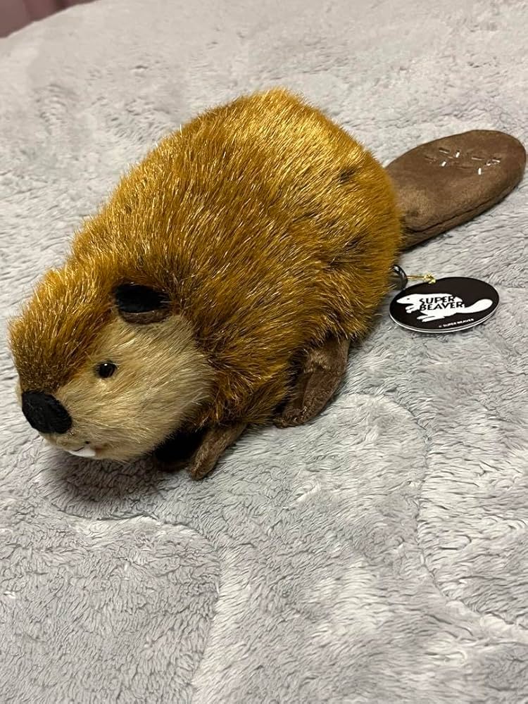 SUPER BEAVER スーパービーバーちゃん ぬいぐるみ