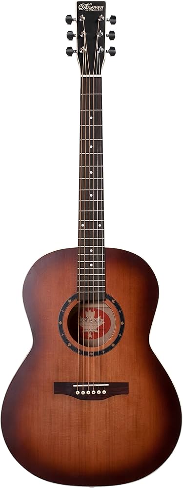 Amazon.co.jp: Norman ノーマン アコースティックギター Protege