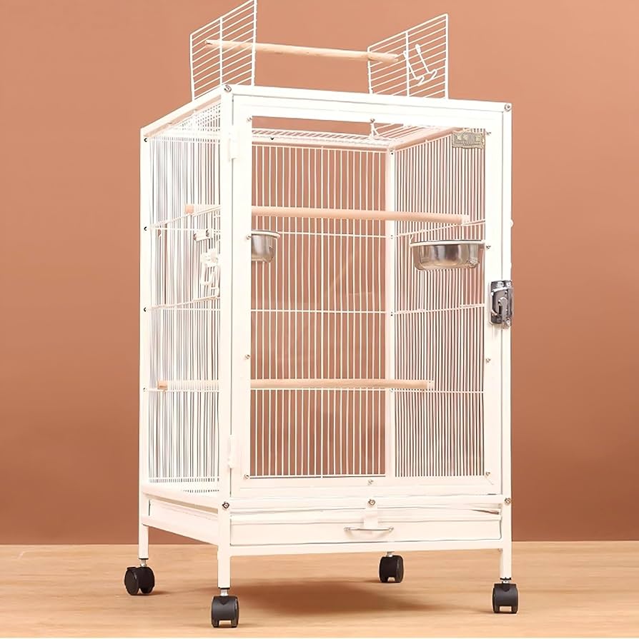 Amazon | LOOPFKL 鳥かご 大型 鳥かご インコ ク リアアクリル 鳥籠