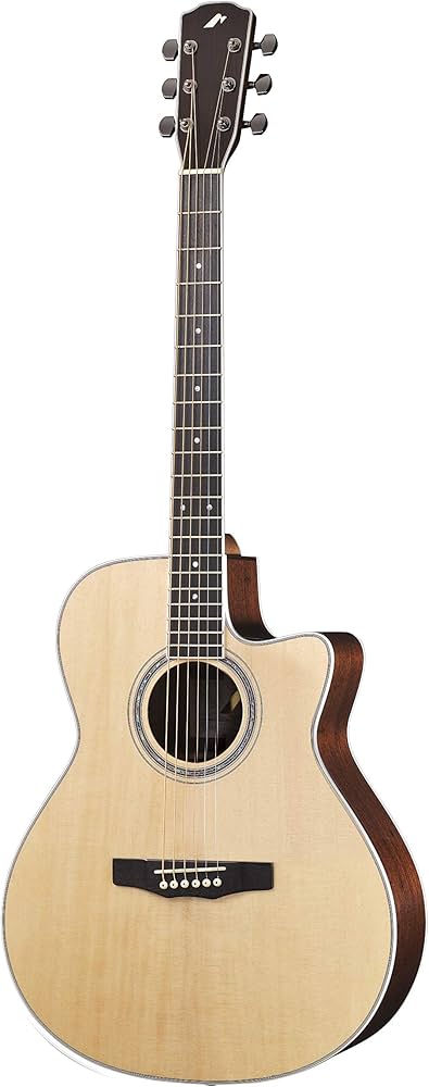 Amazon | Morris (モーリス) エレクトリック アコースティックギター R