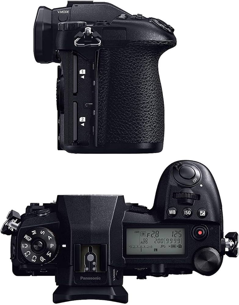 極美品】Panasonic LUMIX DC-G99 パナソニック LUMIX DC-G99D ボディ