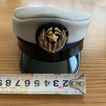 Amazon.co.jp: ミニチュア 警察制帽 2個セット : おもちゃ
