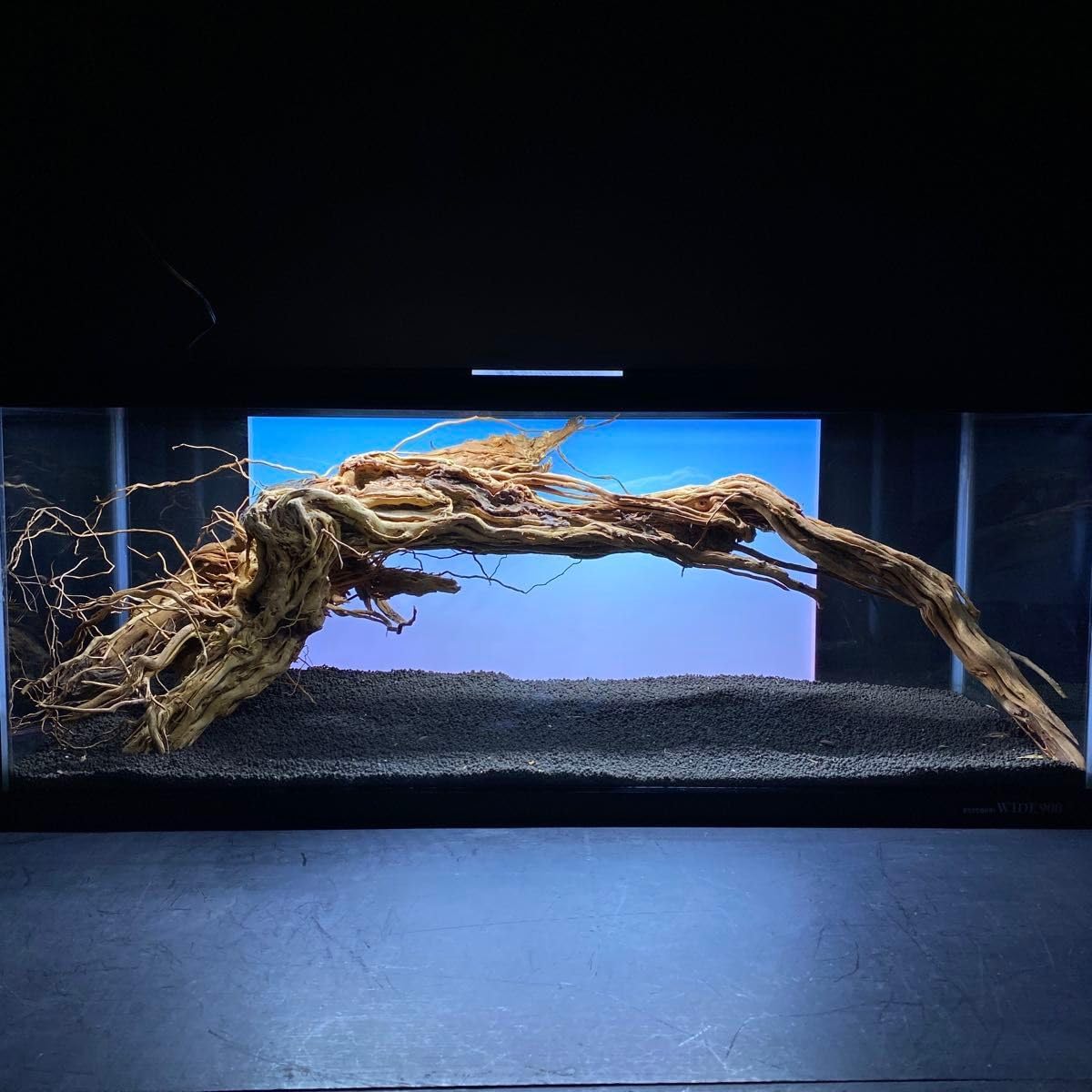 MTW-6351蔦流木1点物 アーチ流木 90cm水槽用流木 アクアリウム 流木販売