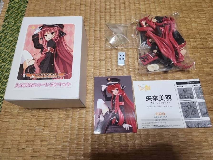 Amazon.co.jp: DRACU-RIOT 矢来美羽 カラーレジンキット 奇楽亭 inkyo