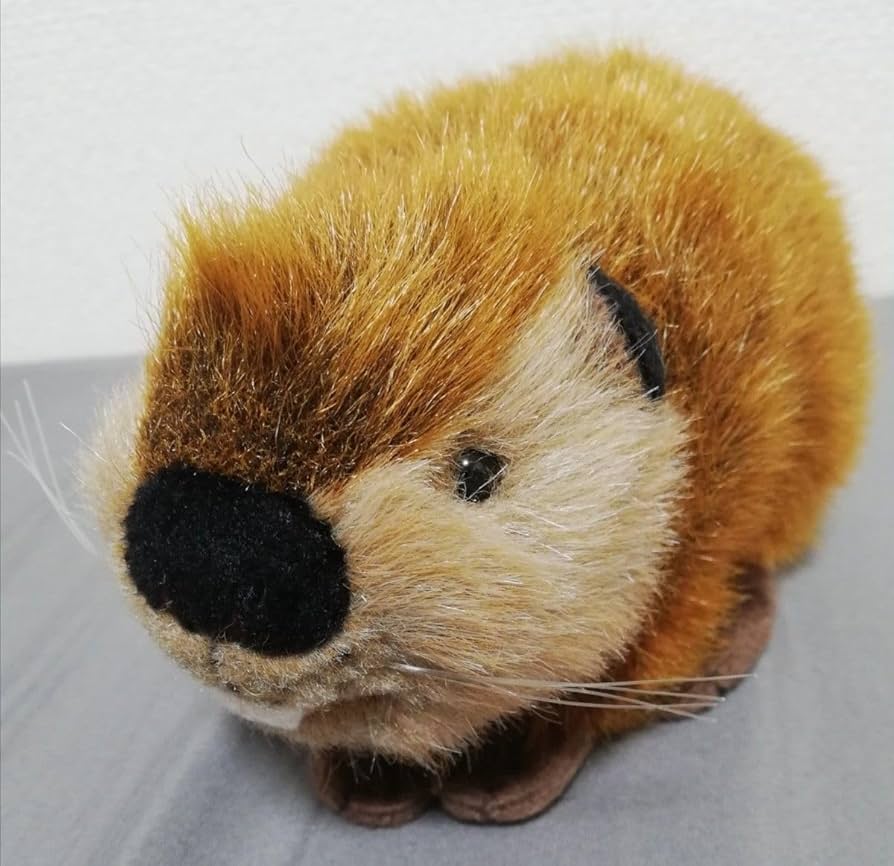 SUPER BEAVER スーパービーバーちゃん ぬいぐるみ