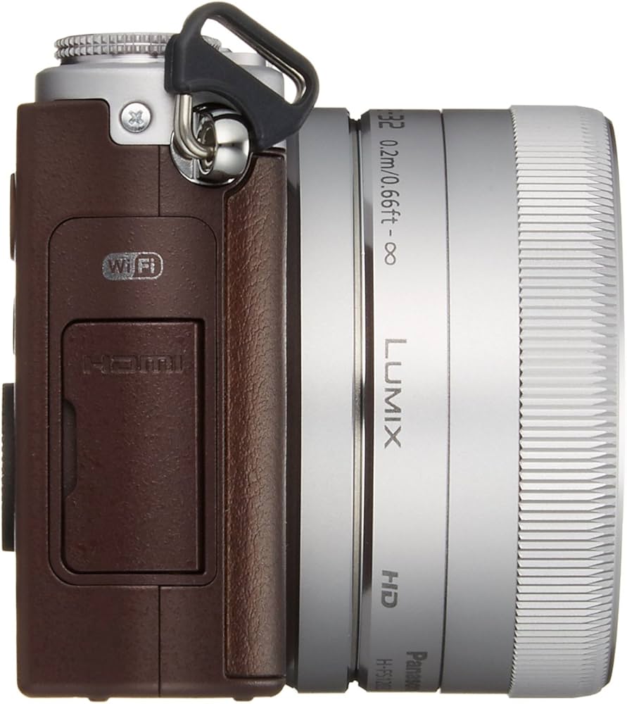 限定価格！LUMIX DMC-GM1S ブラウン 付属品たくさんお得セット