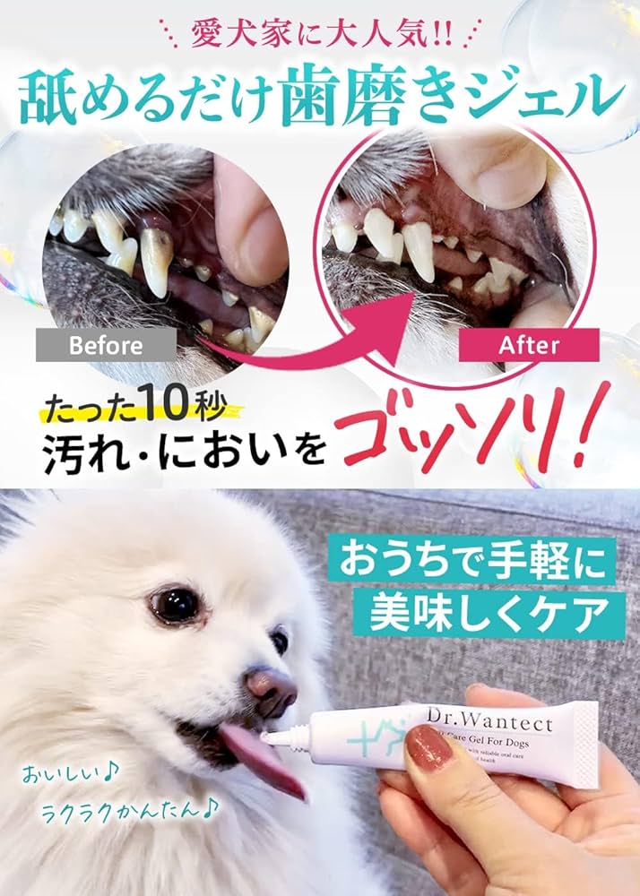 ドクターデンタルワン 犬用口腔ジェル 4本セット 【公式通販】