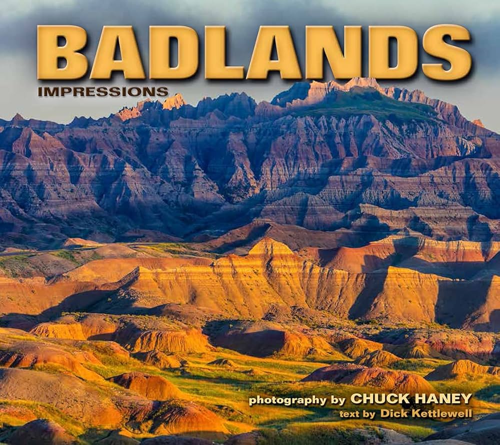たこぶえ Scrubland Badlands 各1枚 たこぶえ Scrubland Badlands 各1