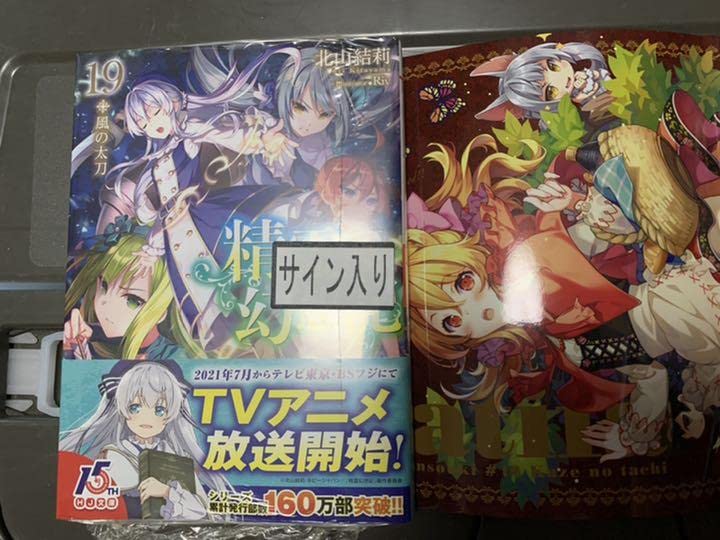 精霊幻想記 原作者直筆サイン入り複製原画 A 精霊幻想記 原作者直筆