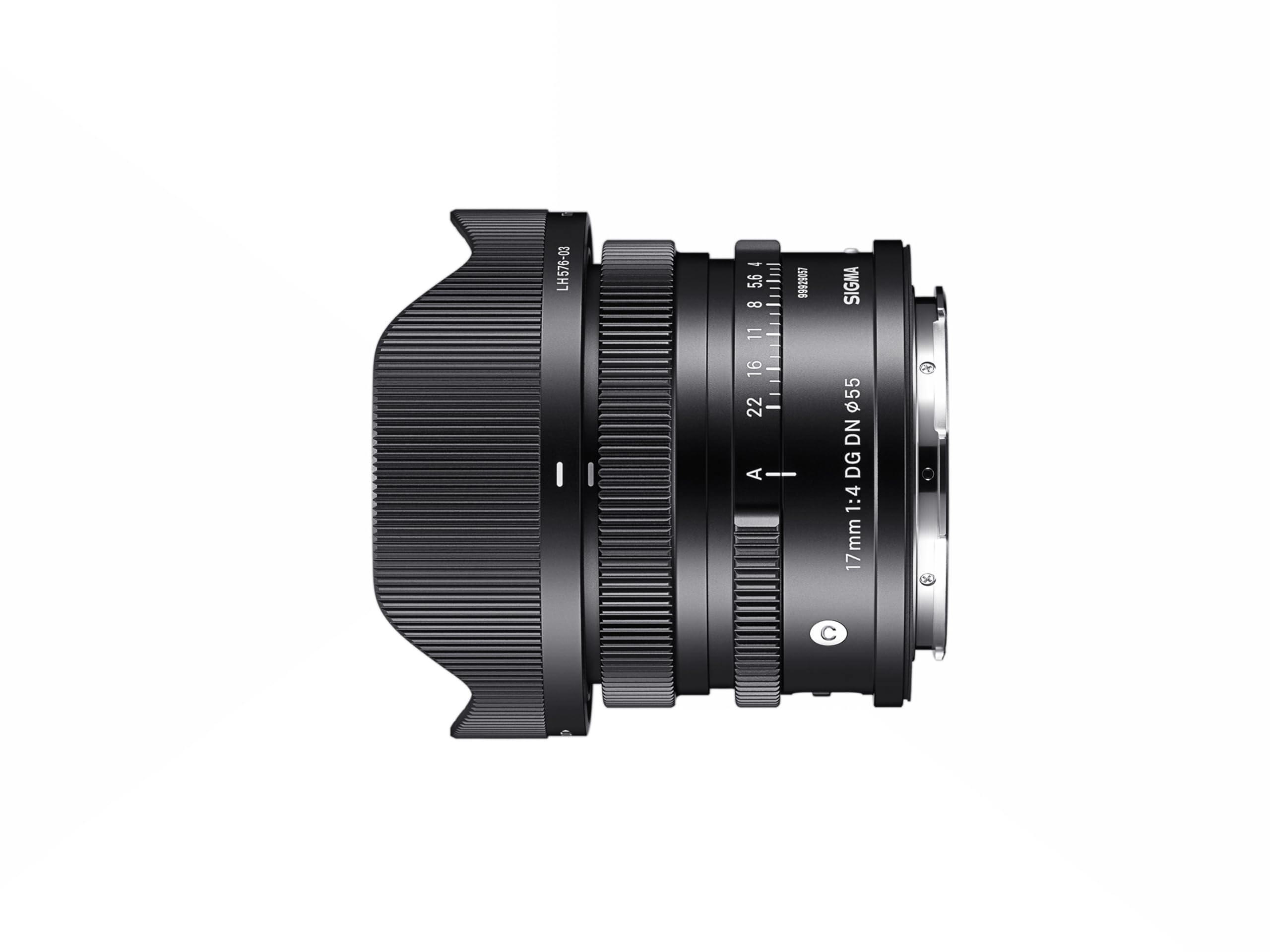 Amazon.com : 17mm F4.0 DG DN for L-Mount : Electronics
