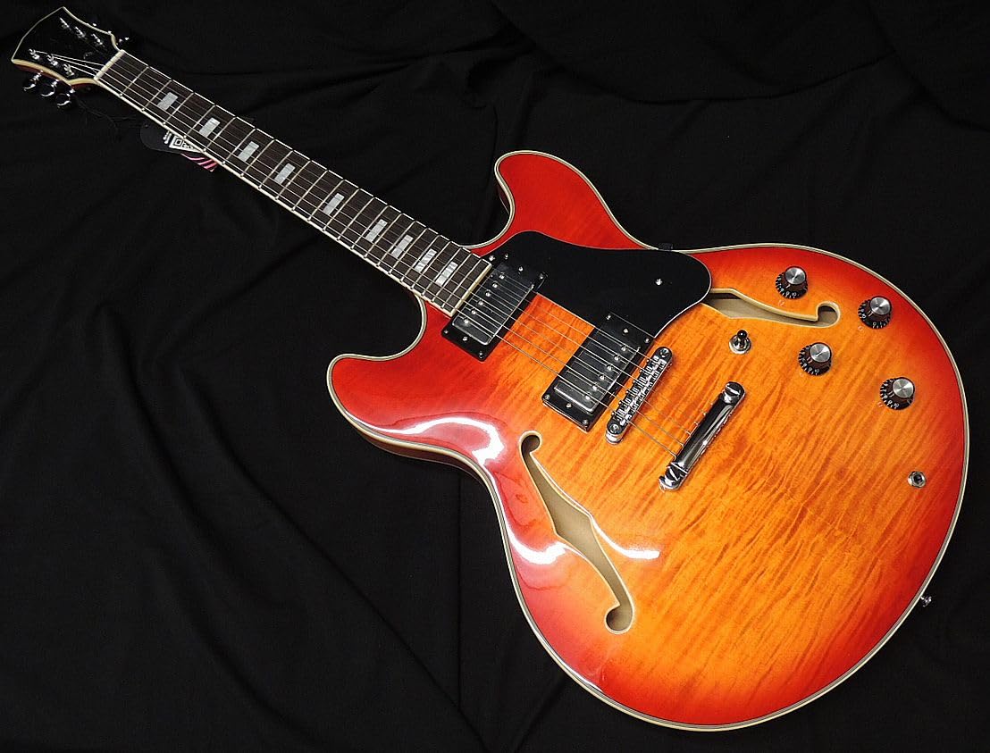 m*6様 サイアー ラリーカールトン サンバースト セミホロウボディ m*6