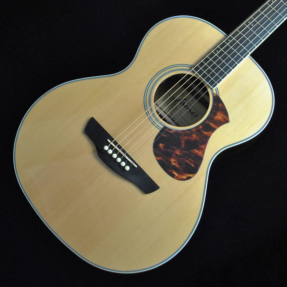 美品エレアコ】James J500A/ova トップ単板 ソフトケース付き