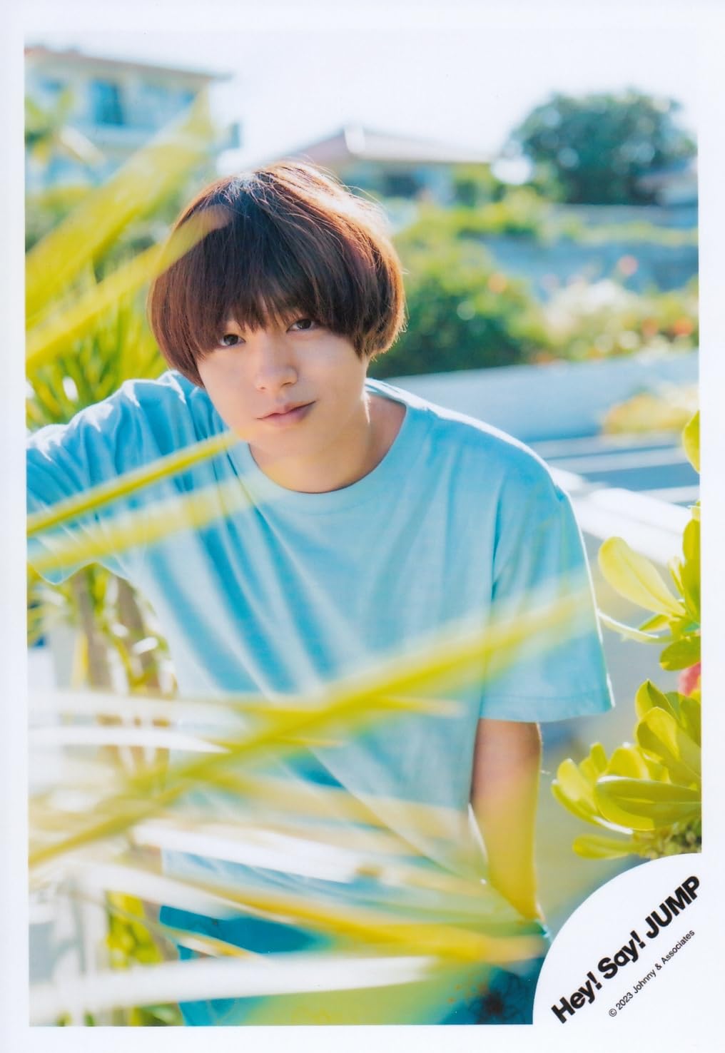 伊野尾慧 写真 450枚 【公式通販】