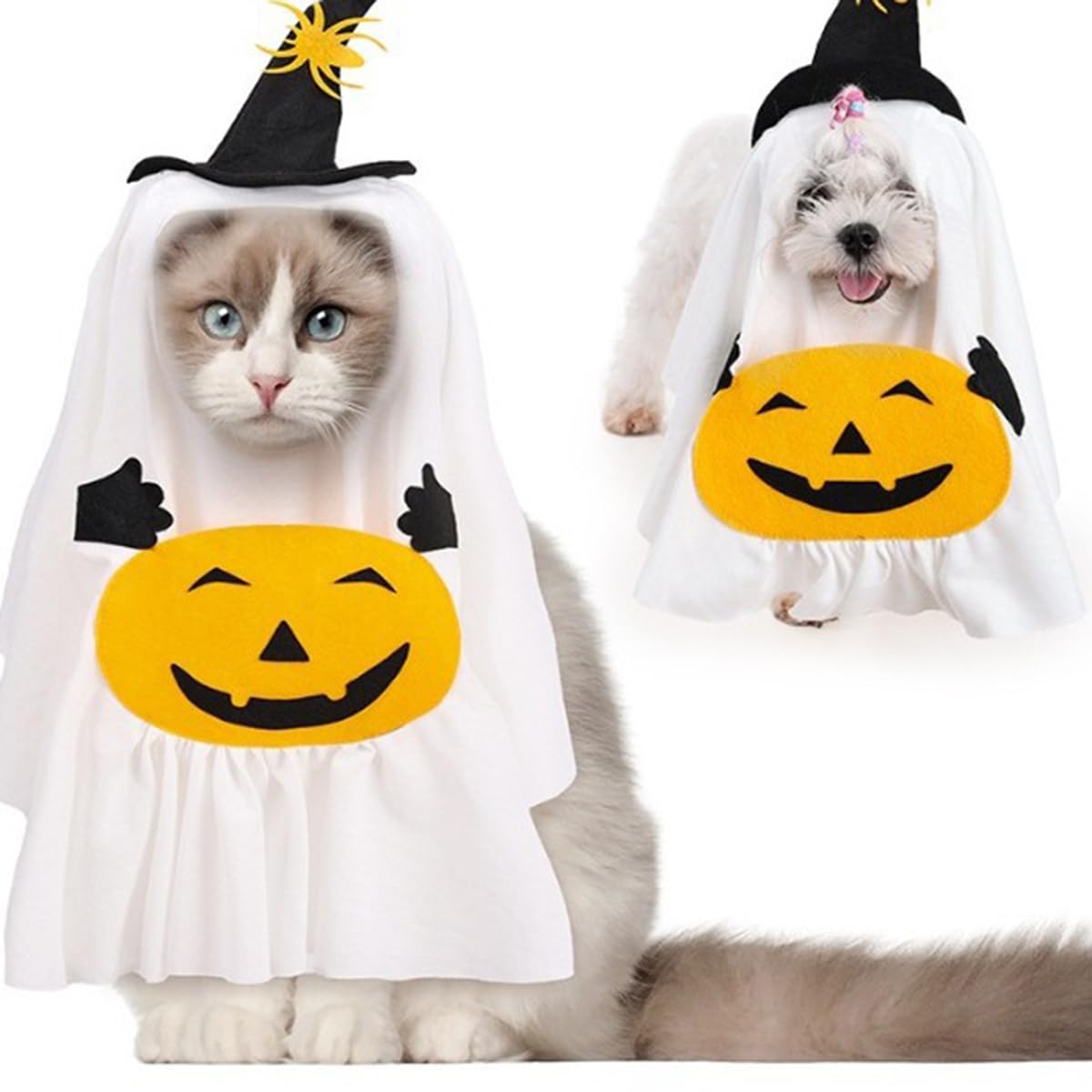 ぶんちゃん、ハロウィン仮装♥️ベッドドレス、わんちゃん猫ちゃん用