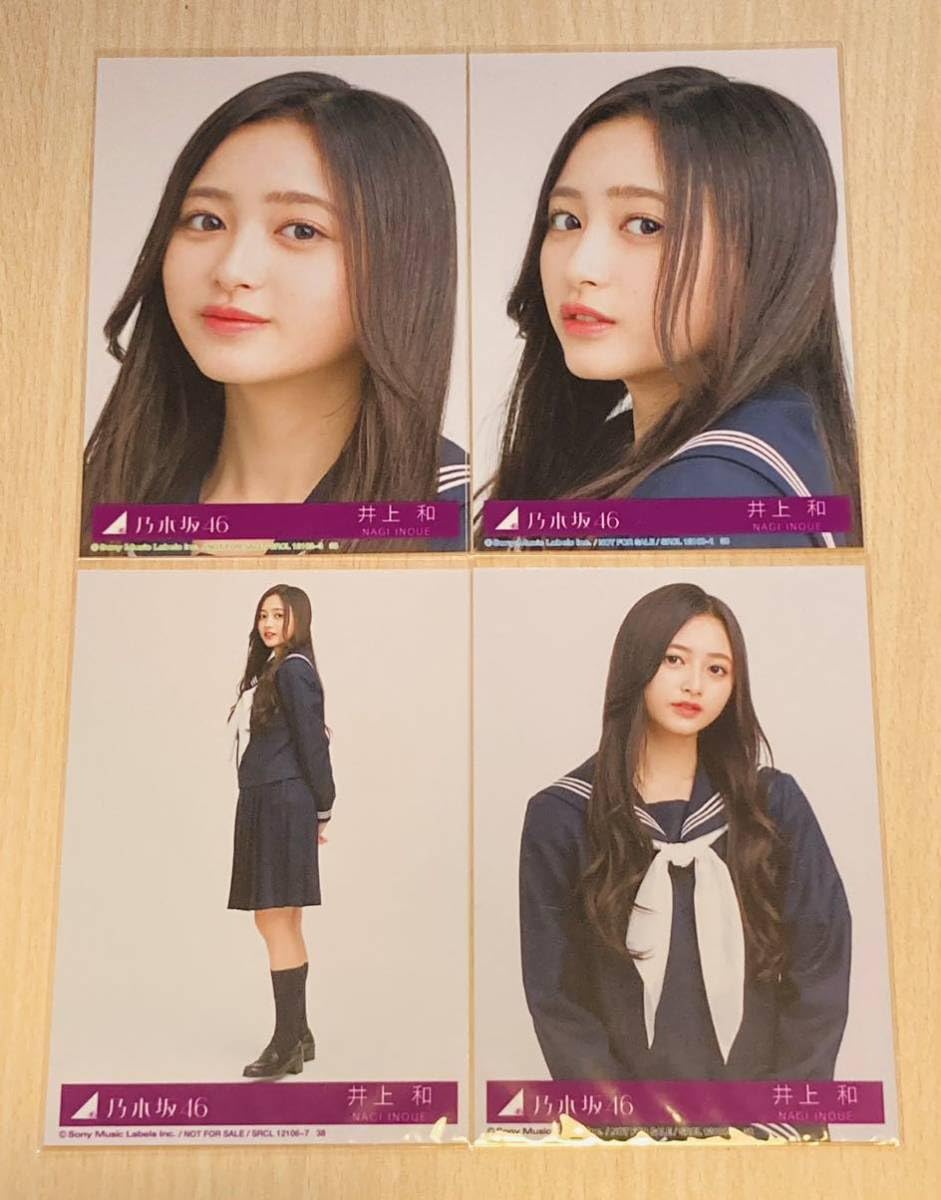 乃木坂46 井上和 13周年記念 5種コンプ 乃木坂46 13周年アニバーサリー