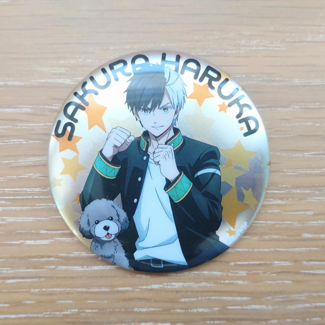 WIND BREAKER ウィンブレ ロフト 缶バッジ 桜 WIND BREAKER ウィンブレ