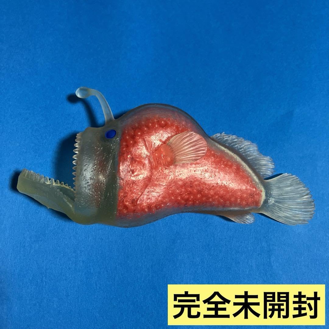 ミツクリエナガチョウチンアンコウ液浸標本 ミツクリエナガチョウチン