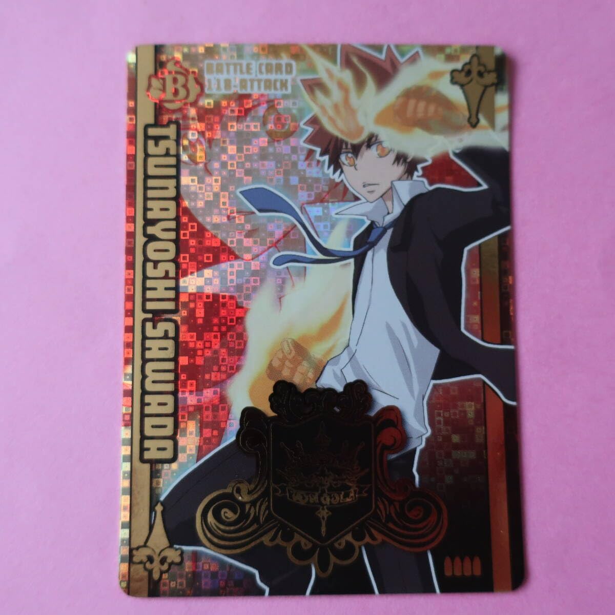 家庭教師ヒットマンREBORN！ サザンクロスバトル まとめ売り 家庭教師