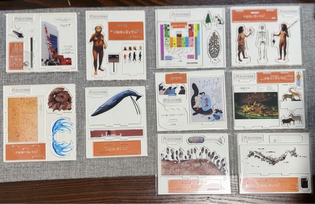 非売品 国立科学博物館 オリジナル標本アクリルスタンド全10種