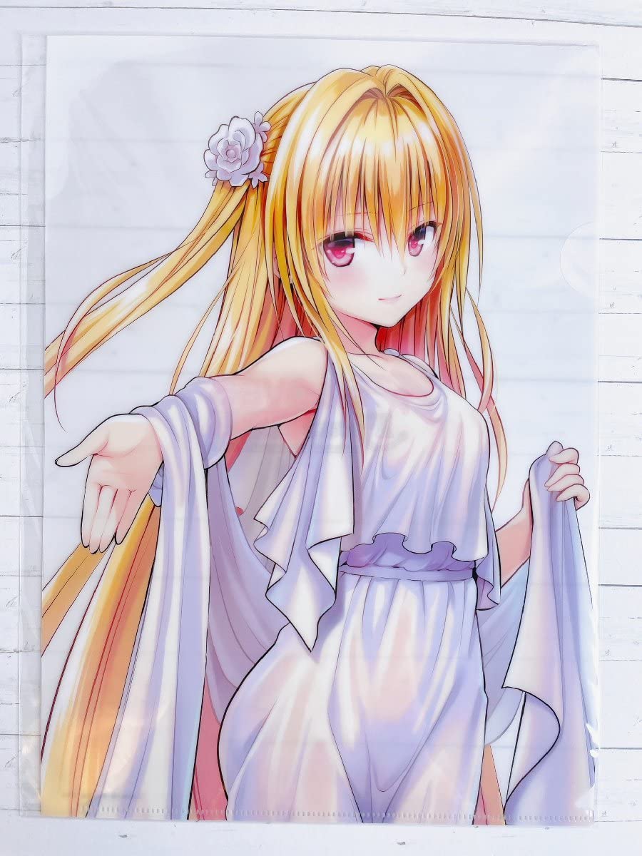 ToLOVEるダークネス 金色のヤミ 懸賞 クリアファイル 当選書付き 透視